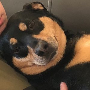 Meet your Posher, Abbie